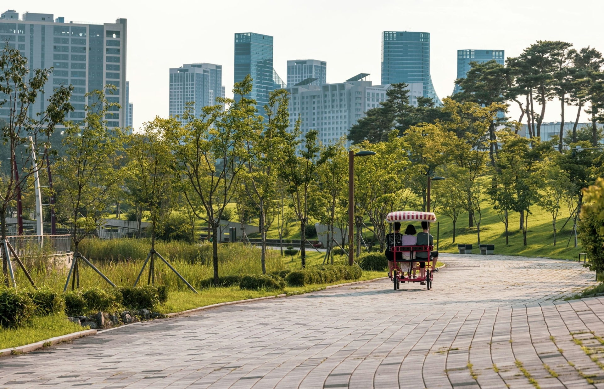 sejong-lake-park-services-bynativ