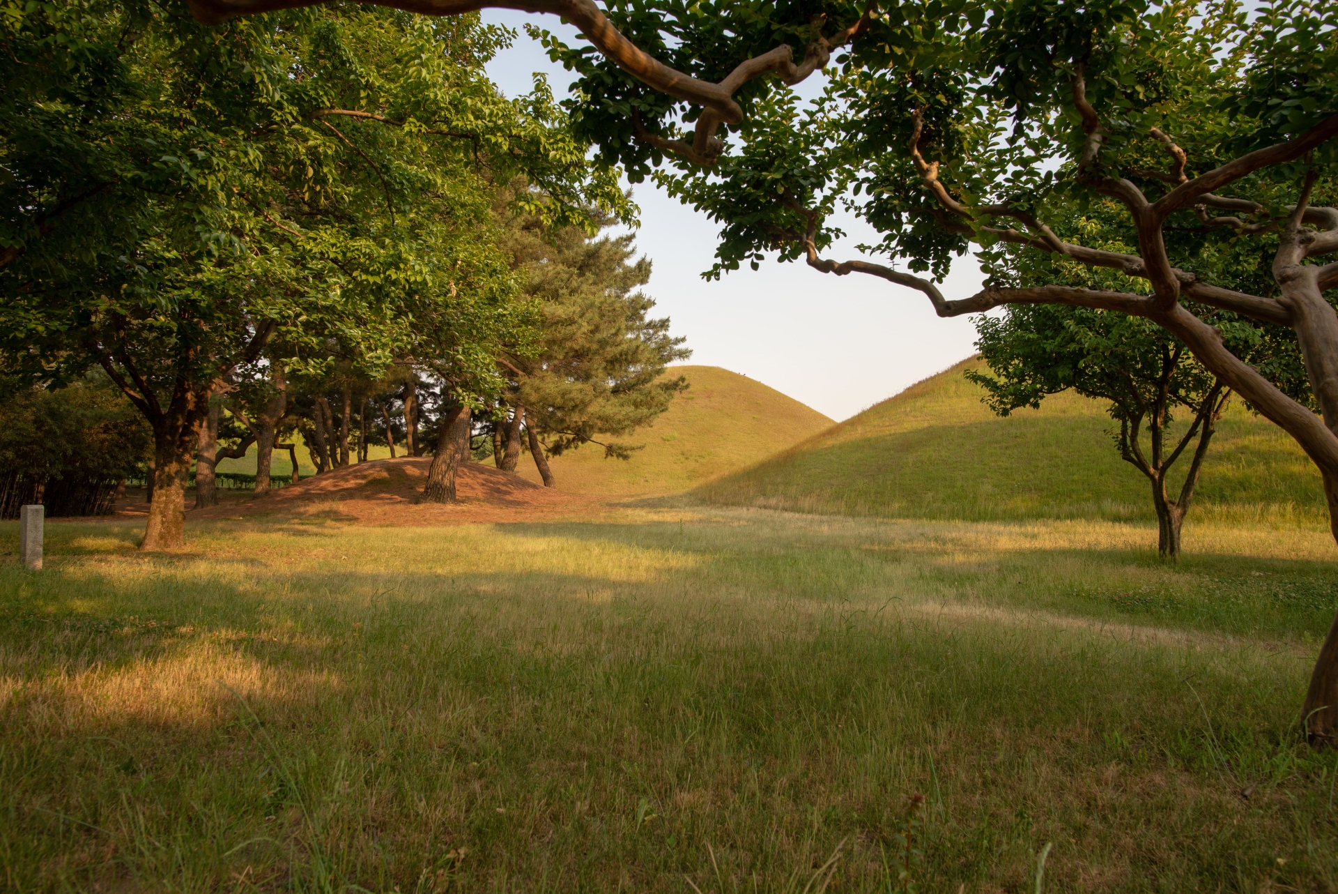 Daereungwon