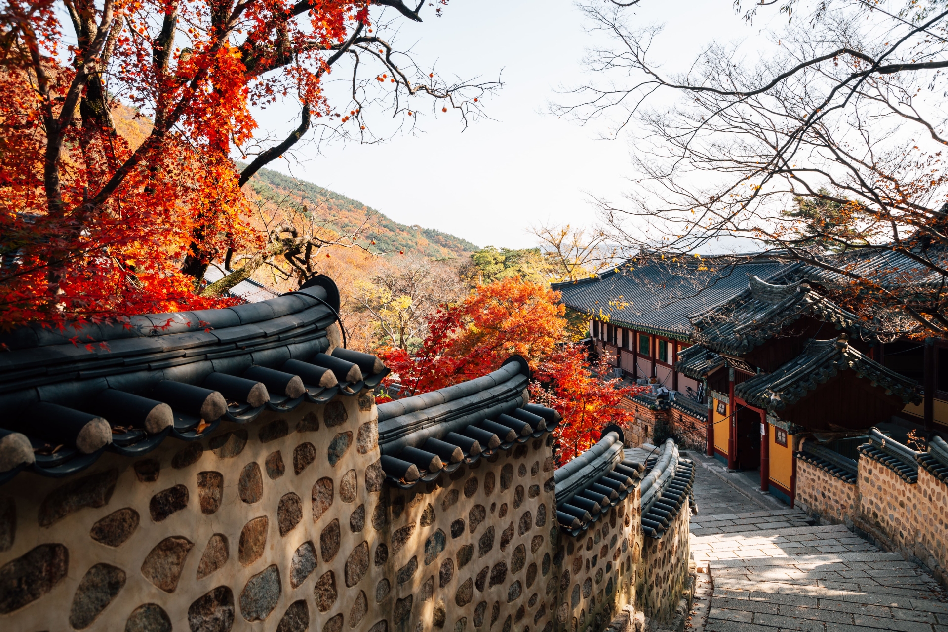Temple Beomeosa à Busan