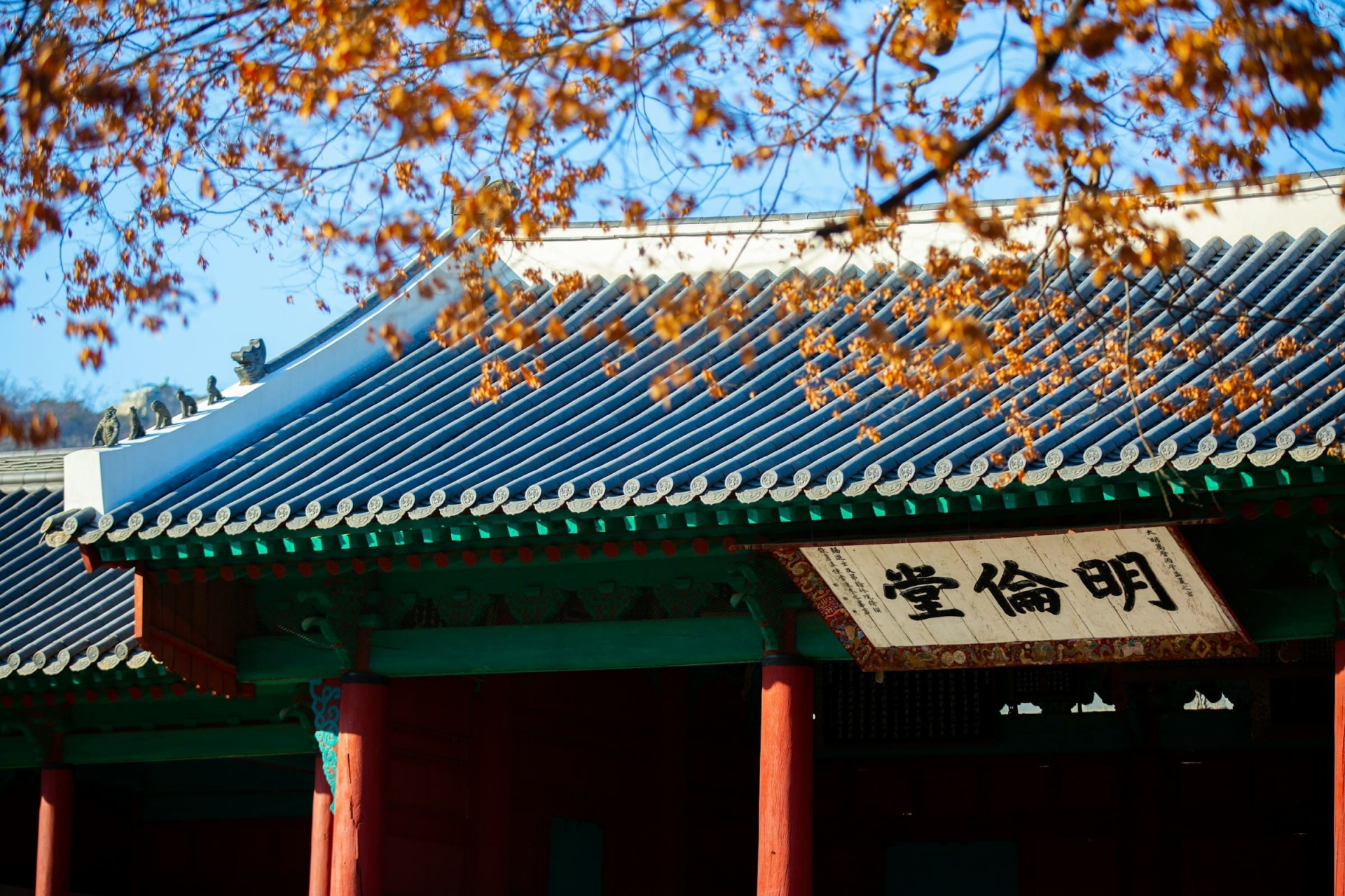 Université de Sungkyunkwan