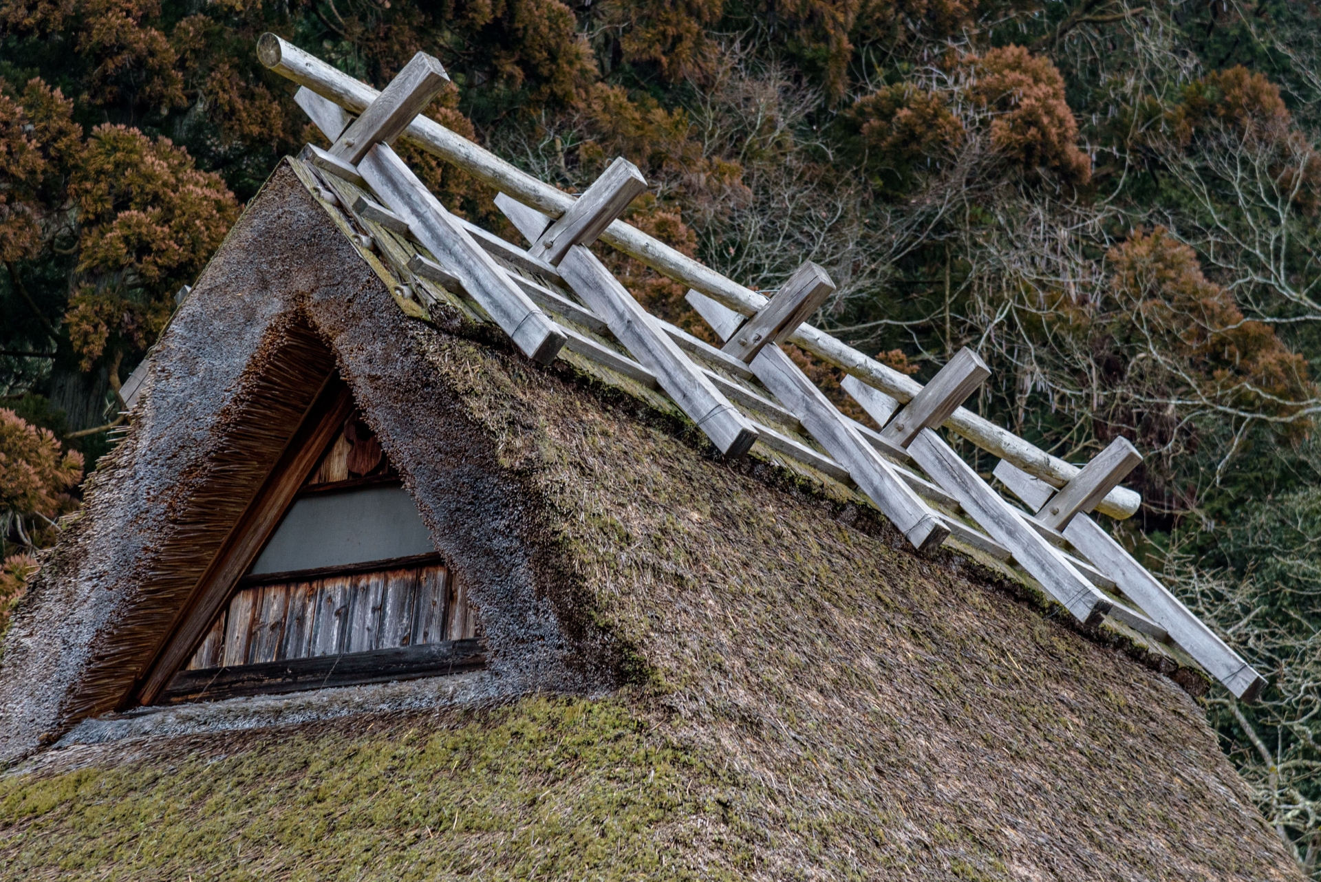 Miyama