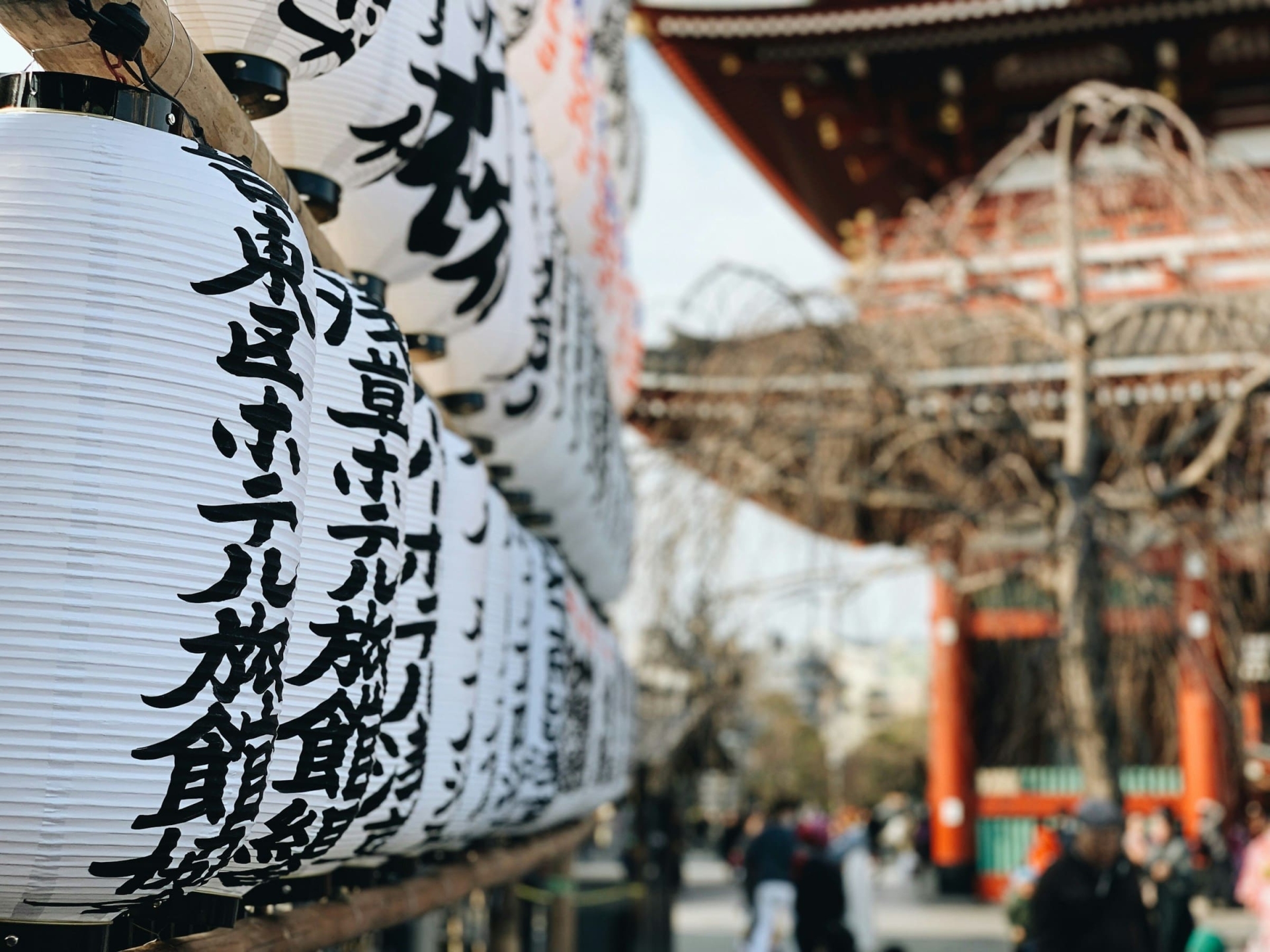 Lanternes japonaises