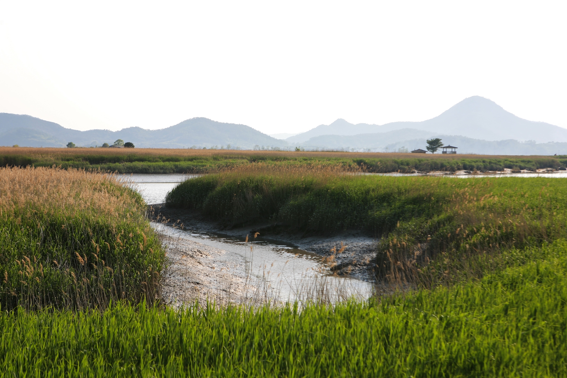 Baie de Suncheon