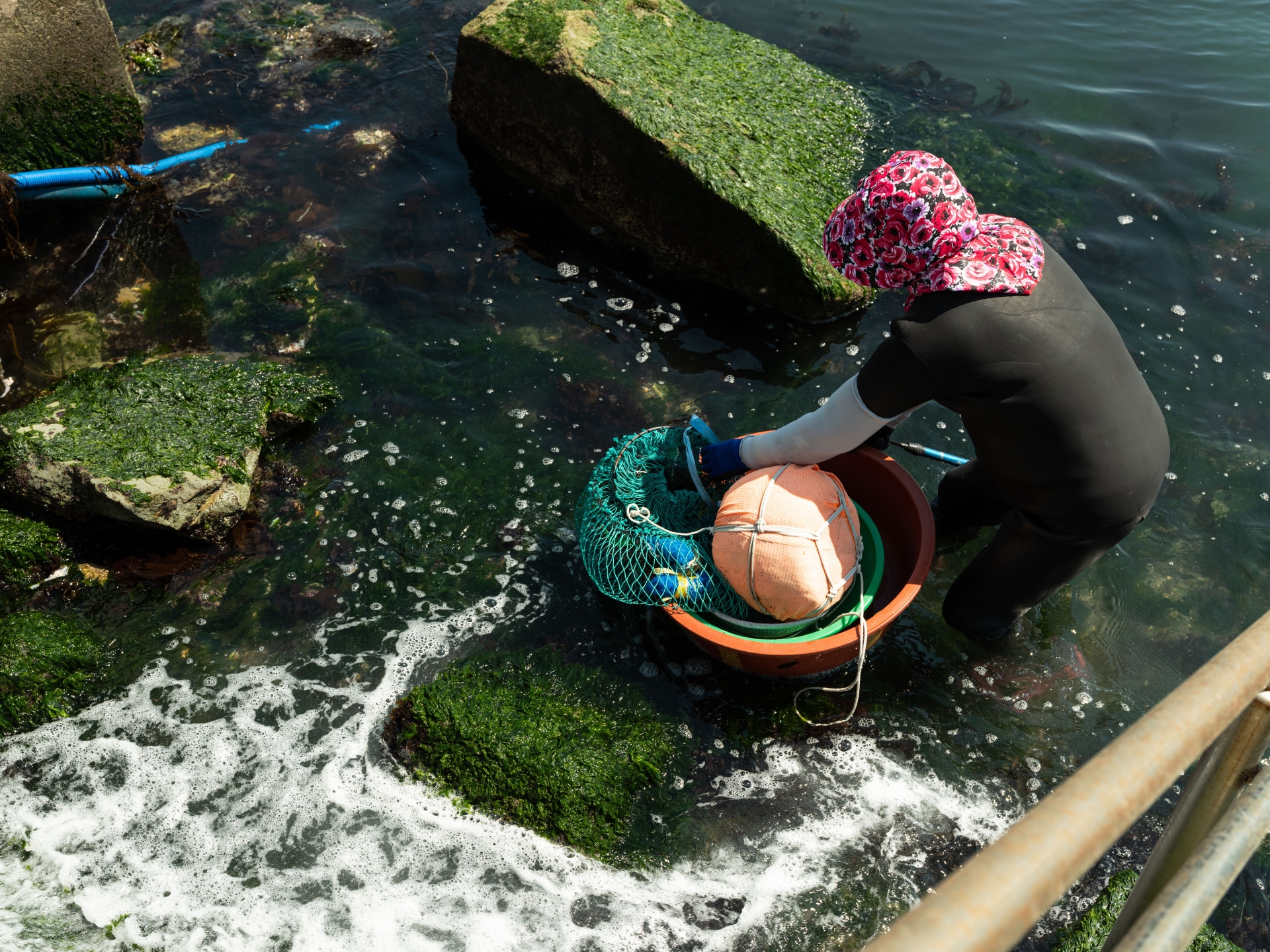 Haenyeo Jeju