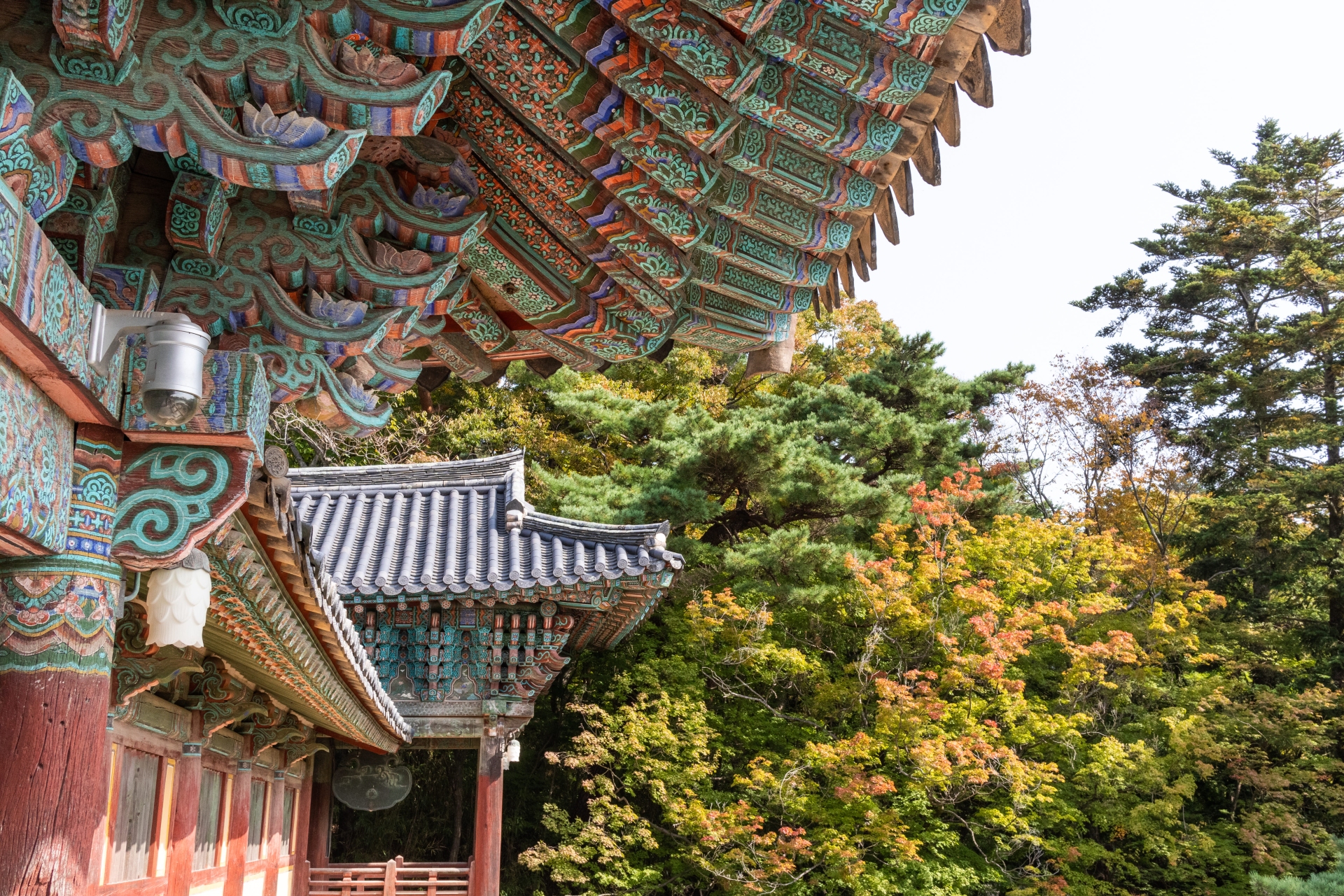 Voyage à Gyeongju